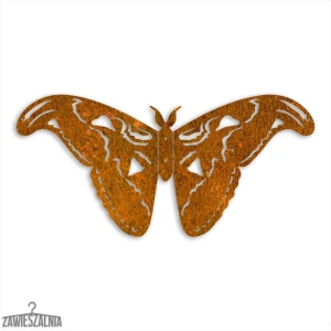 Zawieszalnia – decorazione da parete 3D Farfalla Pavone Atlas L 50 cm acciaio Corten